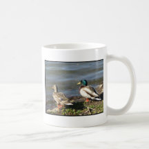 Mallard duck couple mug