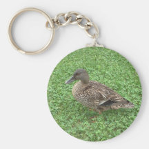 Mallard Duck Female Photo Key Chain