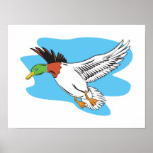 Mallard Duck Flying Posters