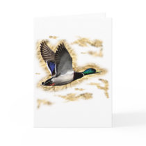Mallard Duck Hunting