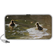 Mallard Ducklings iPhone Speaker