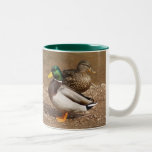 Mallard Ducks Green Mug
