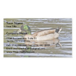 Mallard Hybrid Business Cards