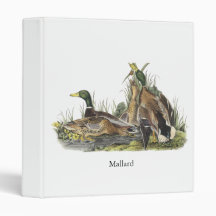 Mallard, John Audubon 3 Ring Binders