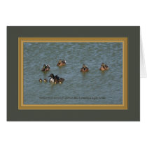 Mallard_mom_ducklings_6909 Card