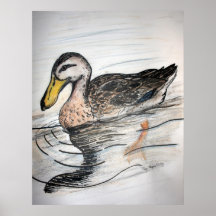 Mallard Print