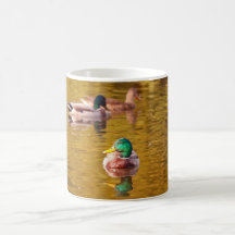 Mallards Coffee Mug