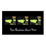 Mallards in the Grass Business Cards