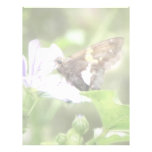 Mallow Flower and Silver-Spotted Skipper Letterhead Template