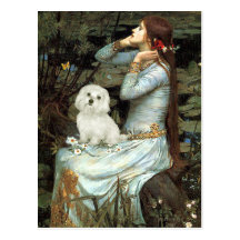 Maltese 11 - Ophelia Seated Postcard