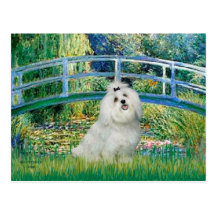 MALTESE 7 - Bridge Postcards