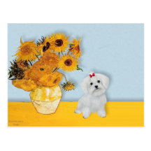 Maltese 8 pup - Sunflowers Post Cards