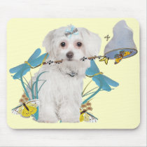 Maltese Butterfly Catcher Gifts