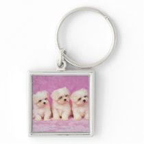 Maltese Dog; is a small breed of white dog that Keychains