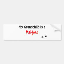 Maltese Grandchild Bumper Stickers