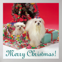 Maltese Merry Christmas Print