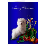 Maltese Puppy Dog Christmas Cards