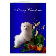 Maltese Puppy Dog Christmas Cards
