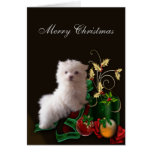 Maltese Puppy Dog Christmas Greeting Card