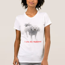 Maltipoo Cute Little White Dog Shirt