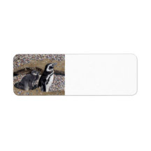 Mama & Baby Penguin Address Labels