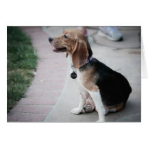 Mama Beagle Card