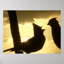 mama bird print