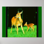 Mama Deer & Baby Fawn Print