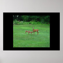 Mama doe & babies posters
