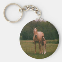Mama horse and baby horse key chains
