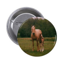 Mama horse and baby horse pin