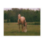 Mama horse and baby horse postcard