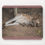 Mama Kangaroo with Joey in Pouch Mouse Pads