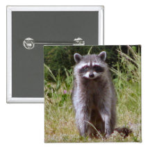 Mama Raccoon Button