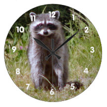 Mama Raccoon Wall Clocks
