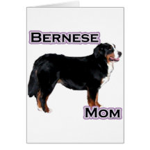 Maman 4 de Bernese Cartes