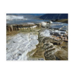 Mammoth Hot Springs, Yellowstone National Park, Wy Postcards