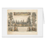 Mammoth Tree Grove (0976A) Greeting Cards