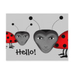 Man bugs postcard