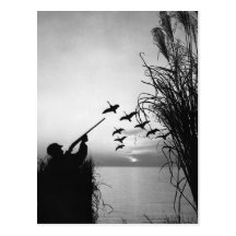 Man Duck Hunting Post Card