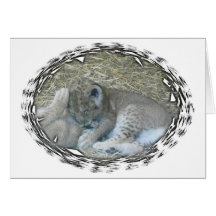 Man Nor Beast Card