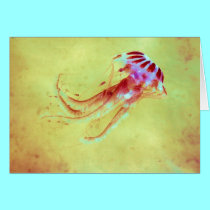 Man of War cards