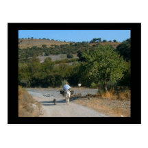 Man on donkey scenic Spanish postcard
