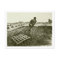 Man Pulling a Harrow, Vincent van Gogh Post Card