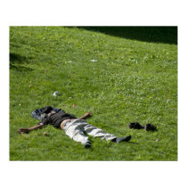Man Sleeping on Grass posters
