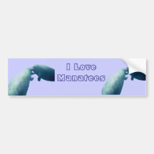 Manatee Bumper Stickers