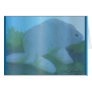 Manatee card