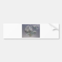 Manatee Family Bumper Stickers