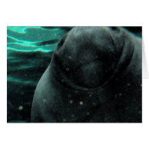 Manatee Kiss Greeting Card