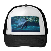 Manatee, Lowry Park Zoo, Tampa Bay, Florida, U.S.A Trucker Hat